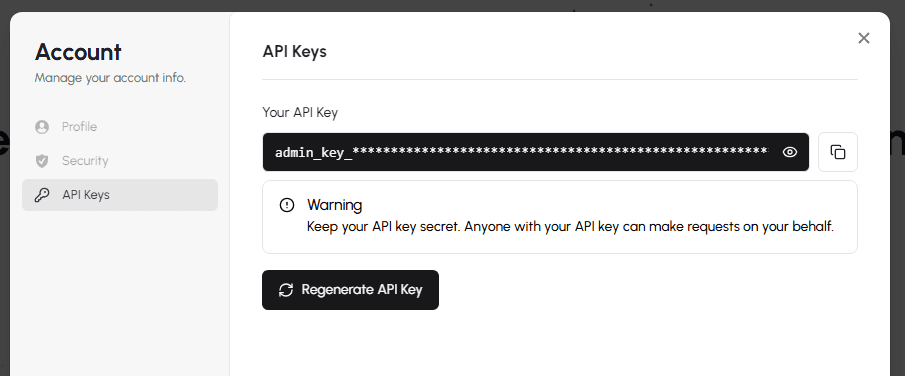 Copy API Key